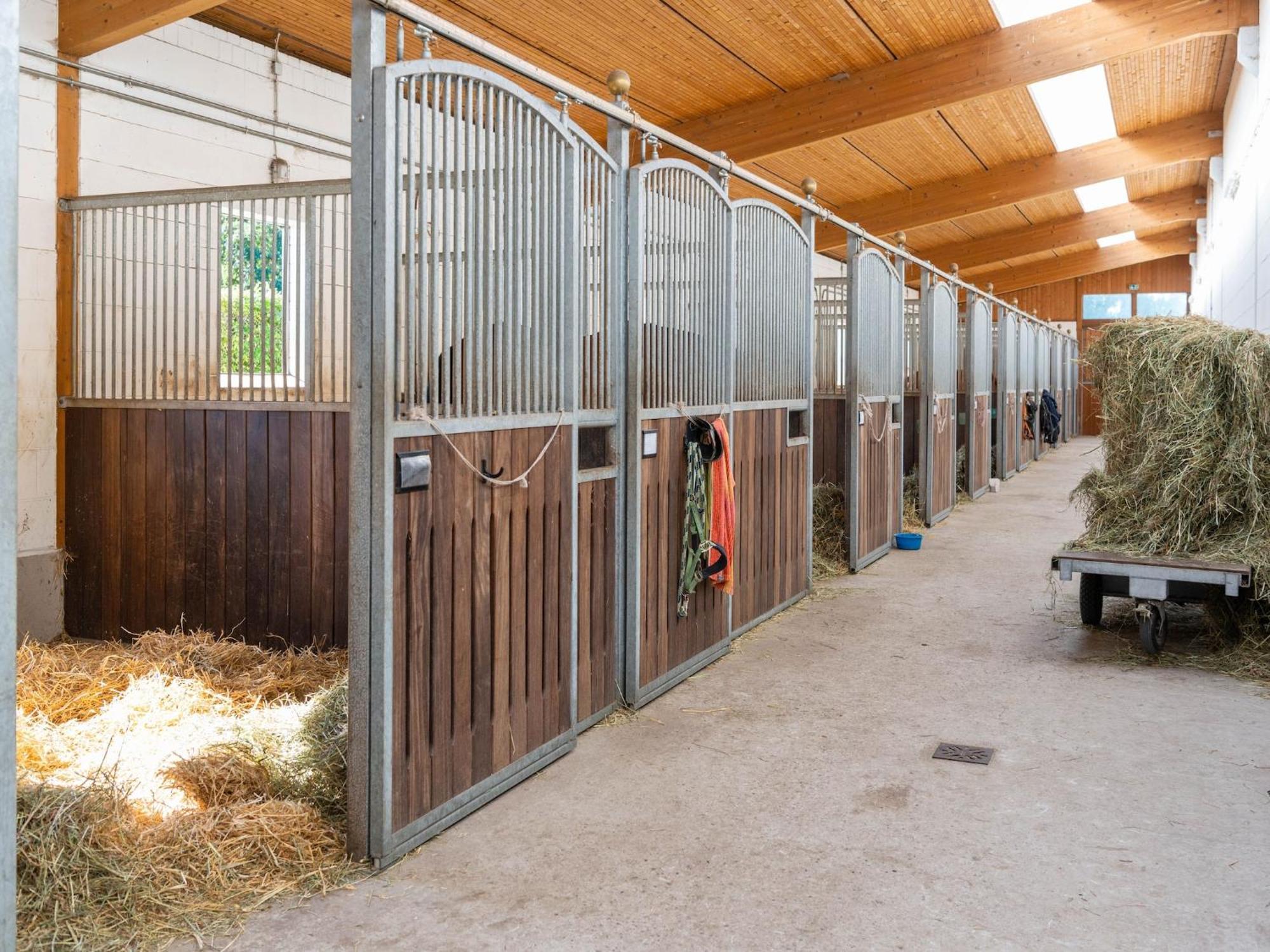 Holiday Home On A Horse Farm In The L Neburg Heath Eschede Exteriör bild