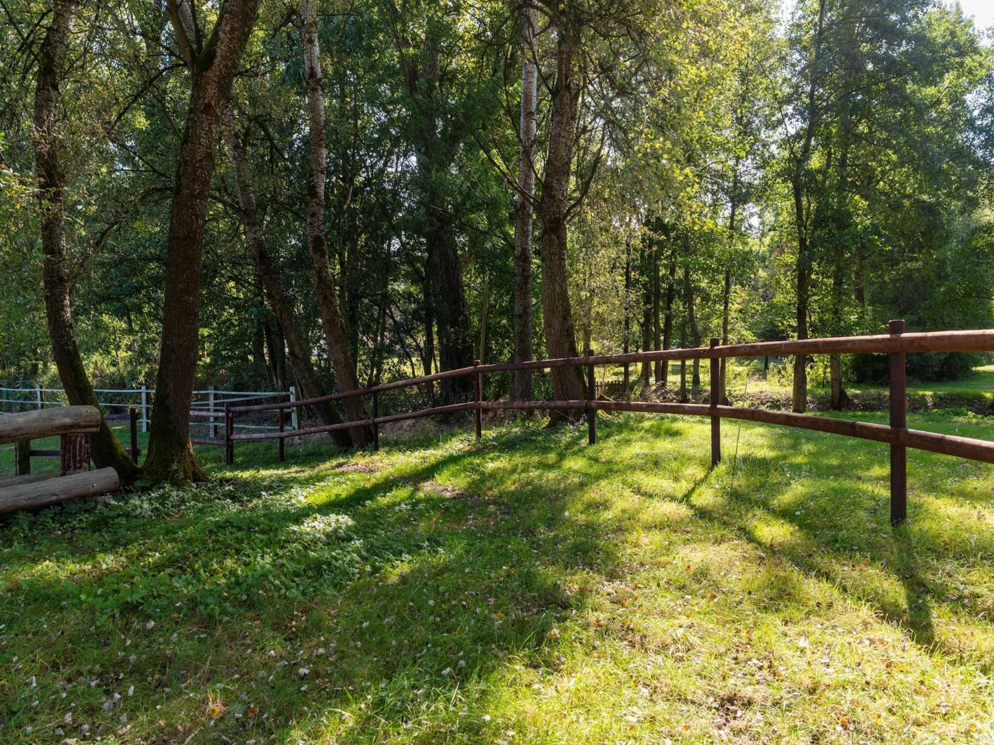 Holiday Home On A Horse Farm In The L Neburg Heath Eschede Exteriör bild