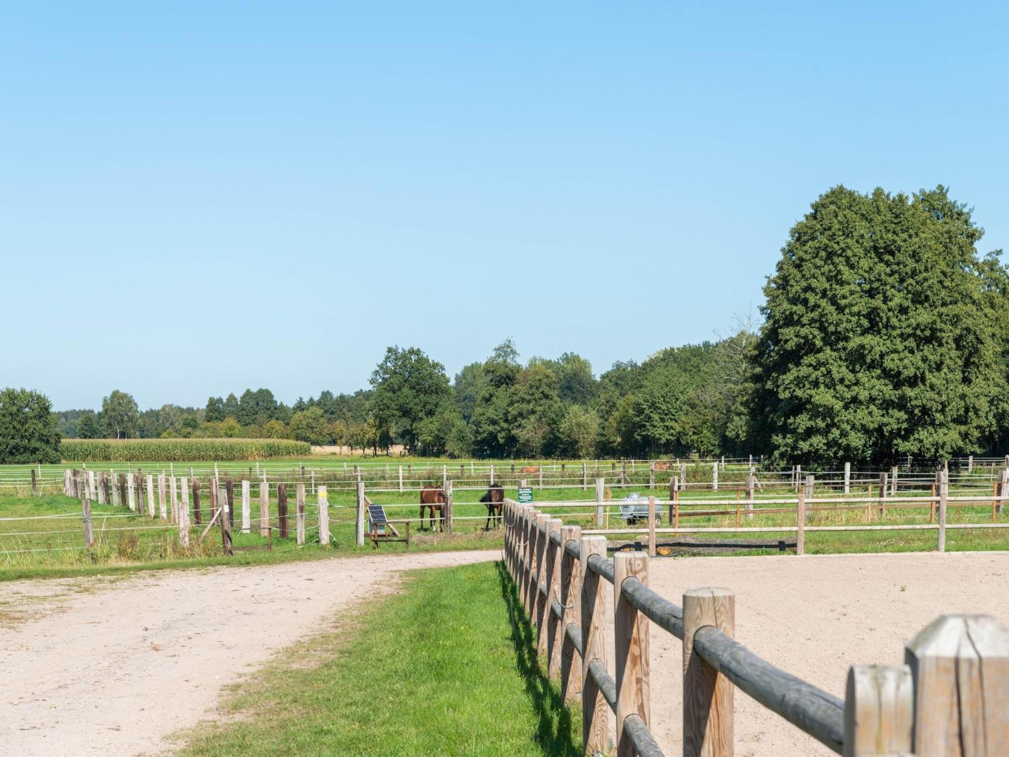 Holiday Home On A Horse Farm In The L Neburg Heath Eschede Exteriör bild