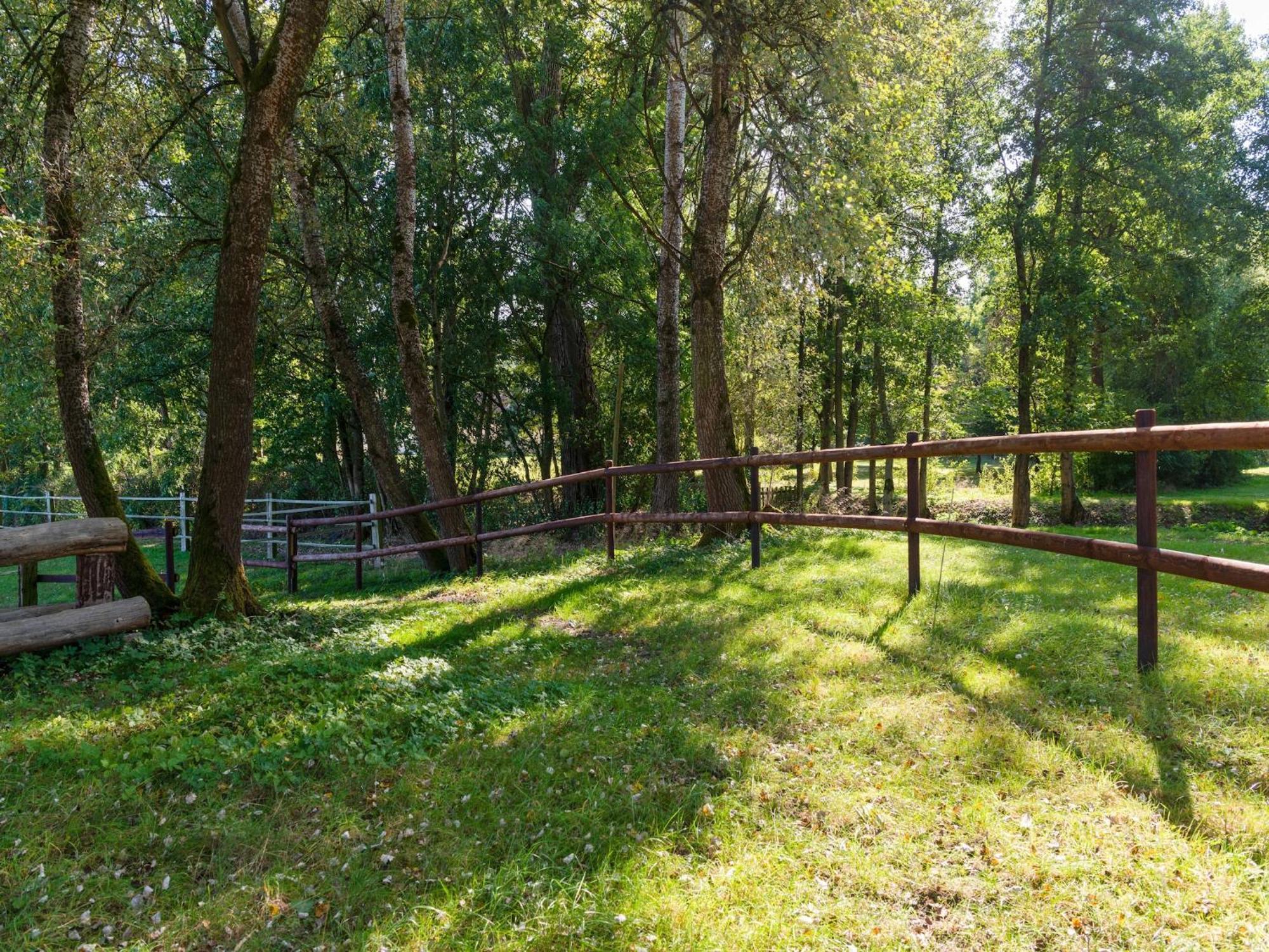 Holiday Home On A Horse Farm In The L Neburg Heath Eschede Exteriör bild